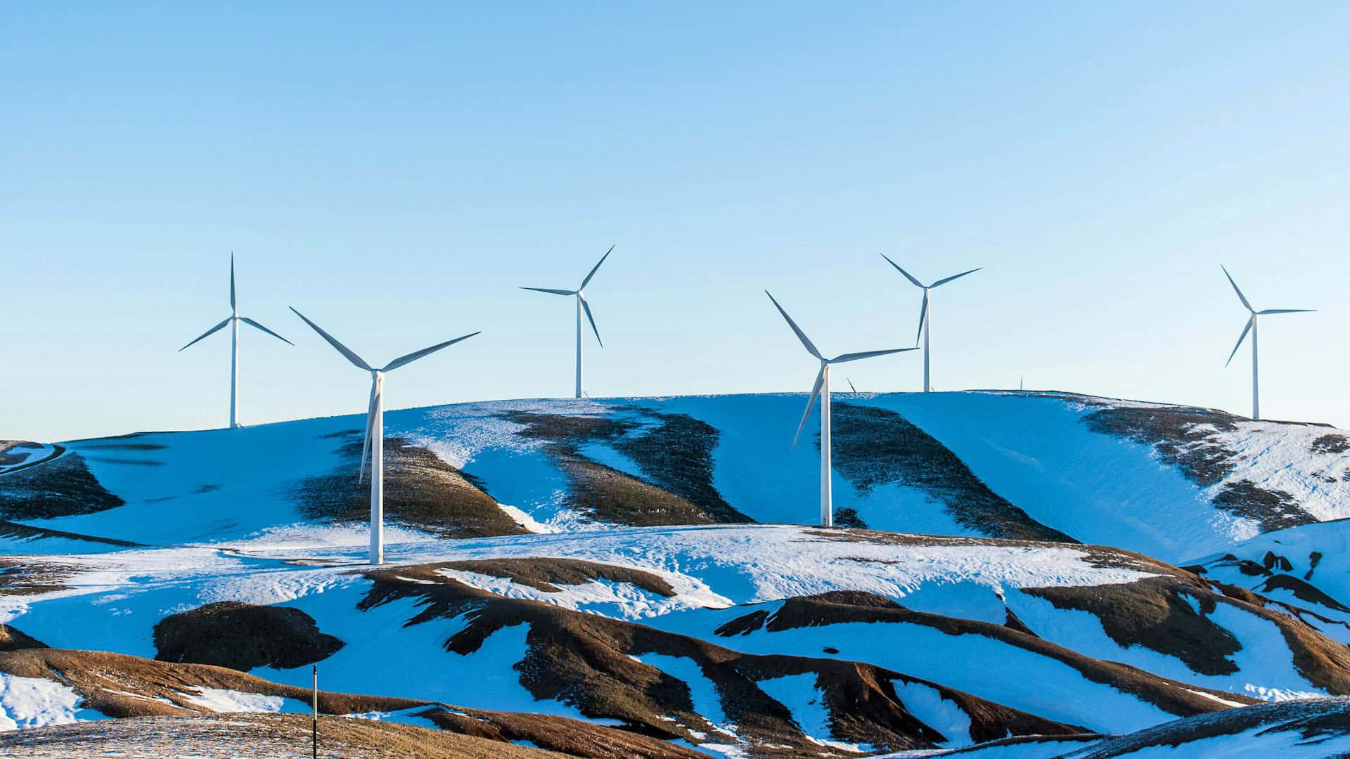 Things You Need to Know Before Purchasing a Wind Turbine in Michigan